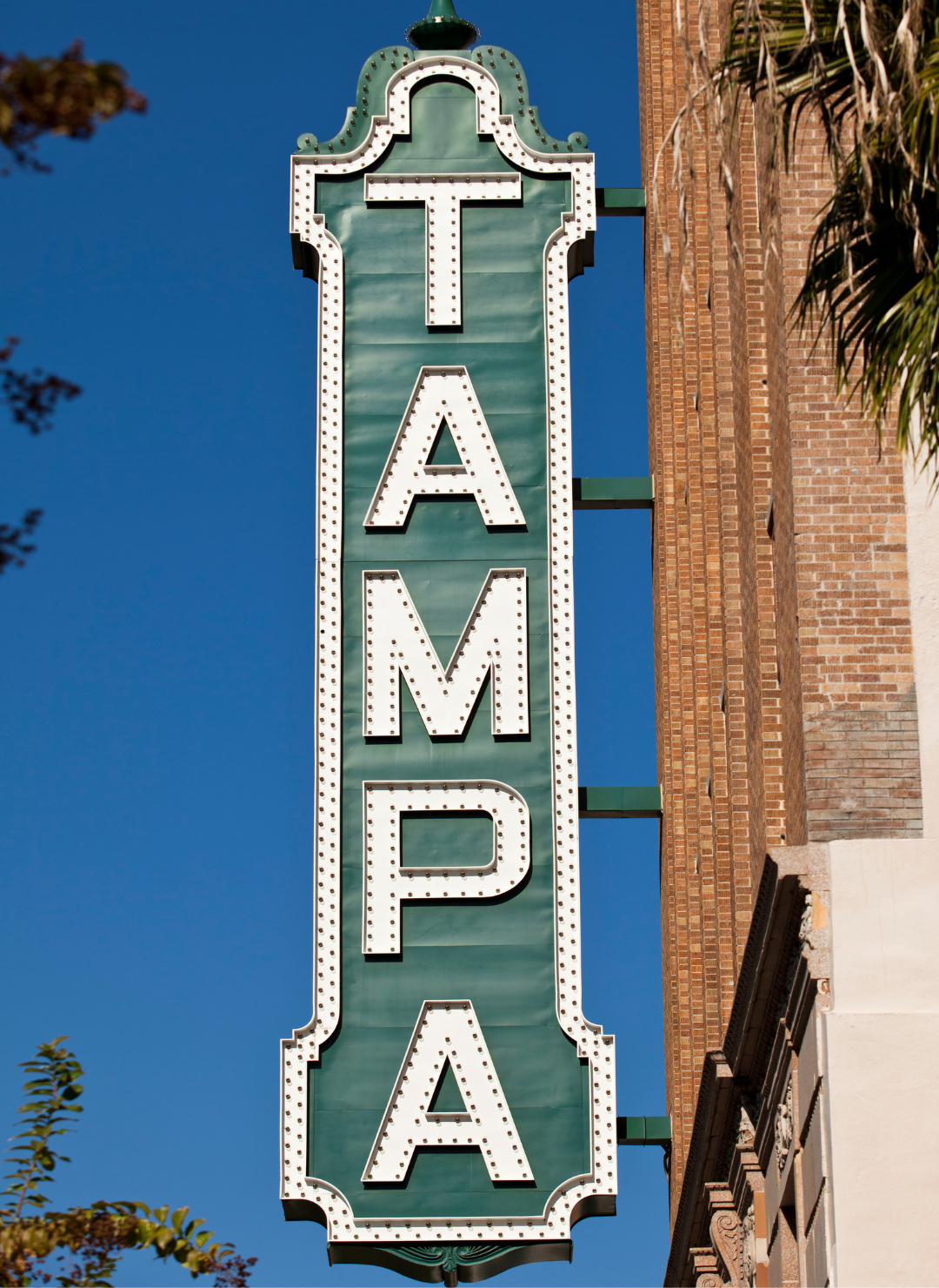 Tampa Tattoo Tales: Stories from the Bay